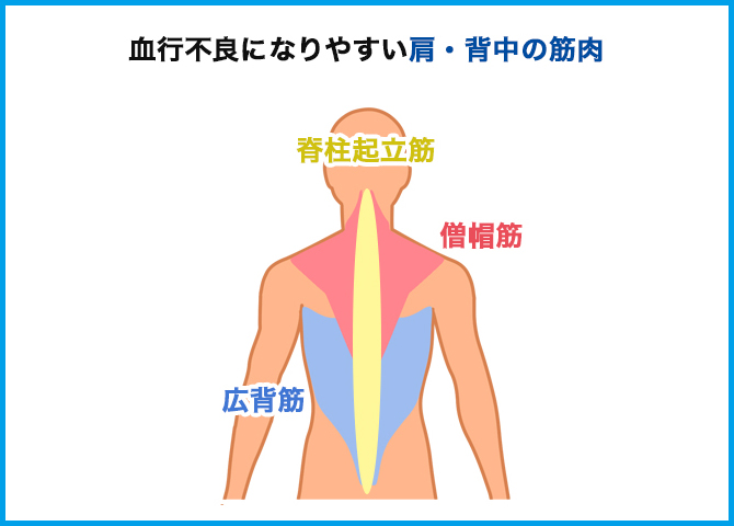 肩こりと首・背中まわりの筋肉